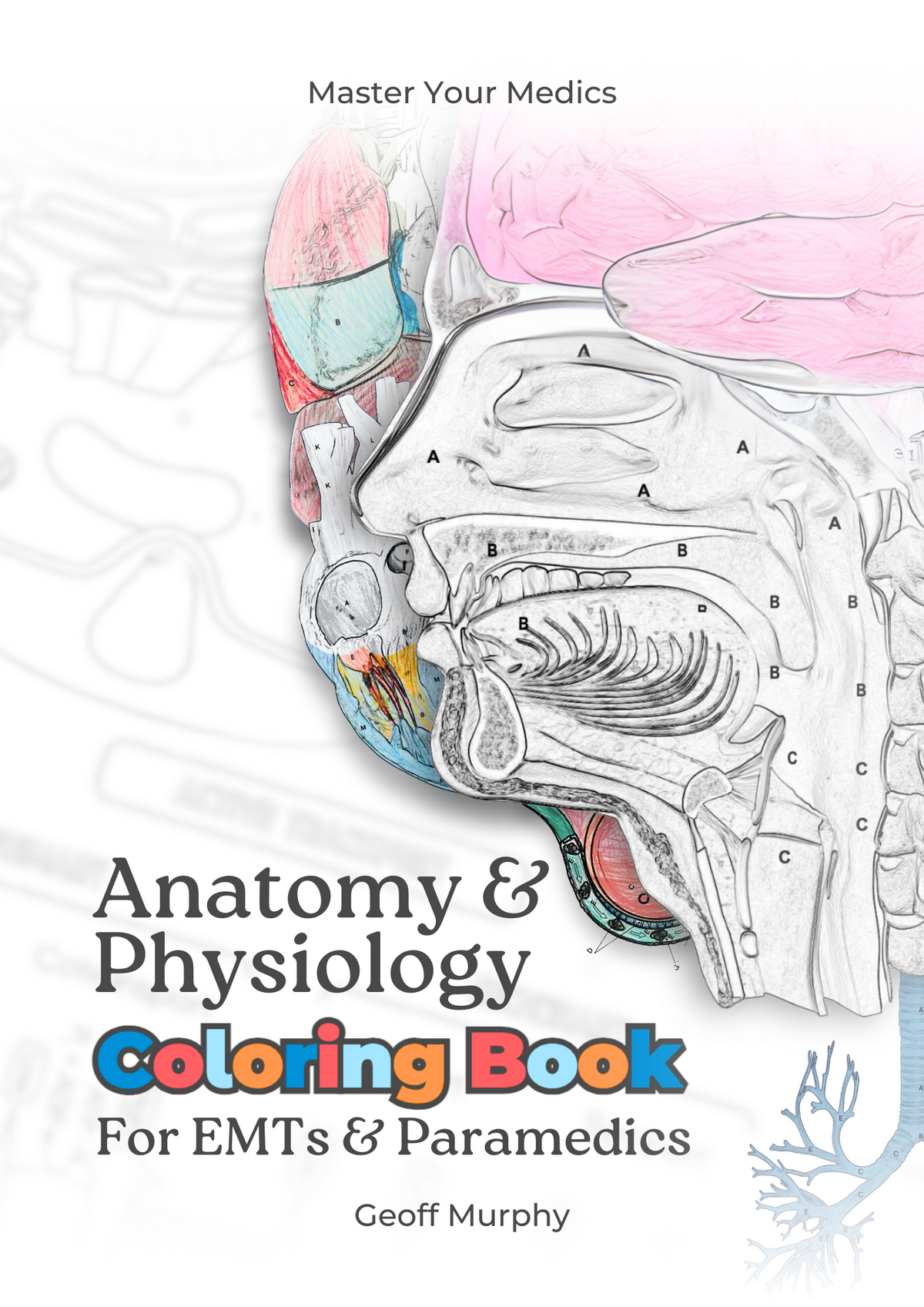 Anatomy & Physiology Coloring Book for EMTs & Paramedics
